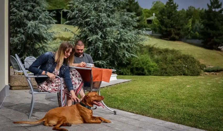 Sndor Hotel Pcs - Augusztus 20.