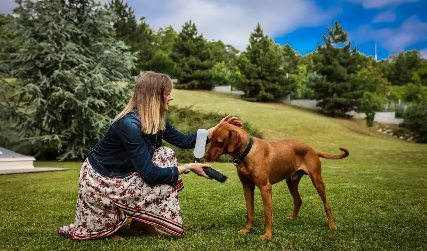 Sndor Hotel Pcs - Augusztus 20.