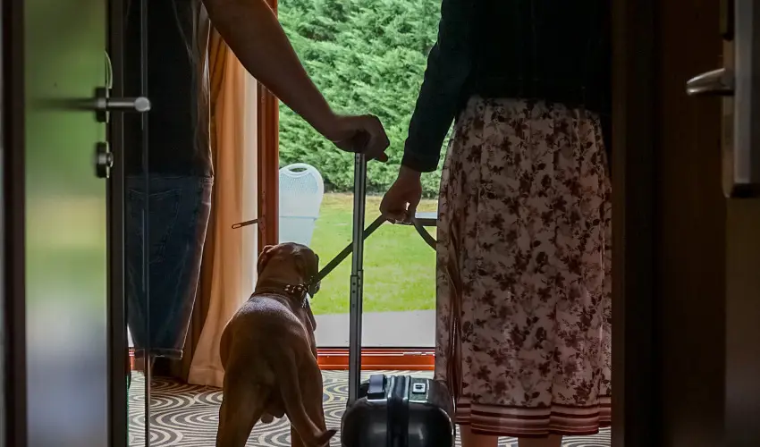 Sndor Hotel Pcs - Augusztus 20.