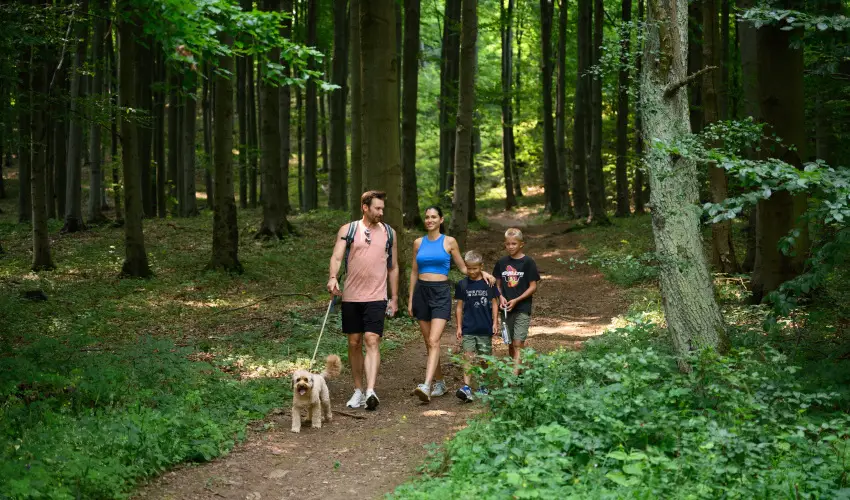 Hotel Nar�d M�traszentimre - Augusztus 20.