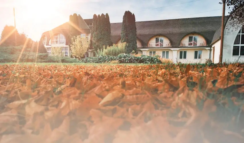 Hotel Ovit Keszthely - Szent Istv�n �nnepe v�rosn�z� dott�z�ssal (min. 3 �j)