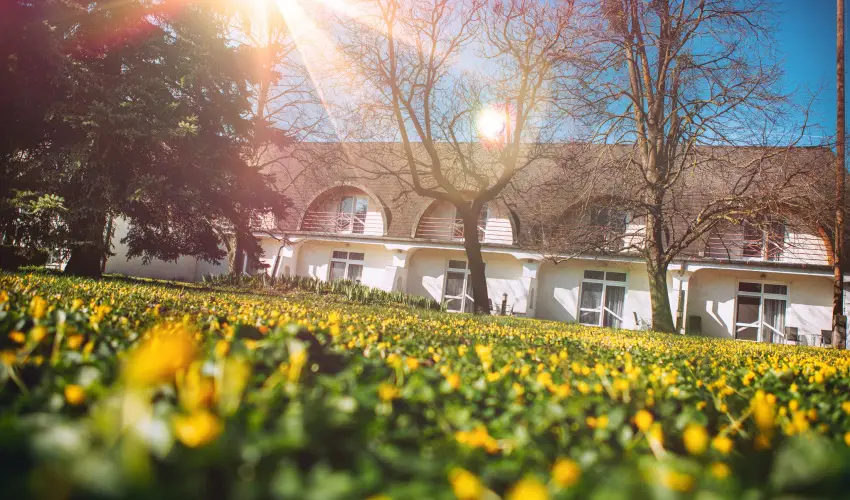 Hotel Ovit Keszthely - Szent Istv�n �nnepe v�rosn�z� dott�z�ssal (min. 3 �j)