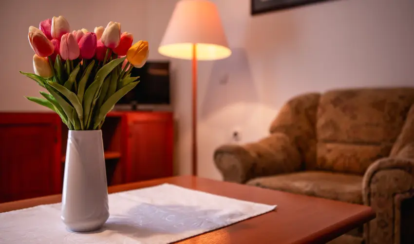 Hotel Ovit Keszthely - Szent Istv�n �nnepe v�rosn�z� dott�z�ssal (min. 3 �j)