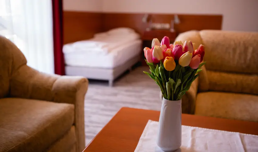 Hotel Ovit Keszthely - Szent Istv�n �nnepe v�rosn�z� dott�z�ssal (min. 3 �j)