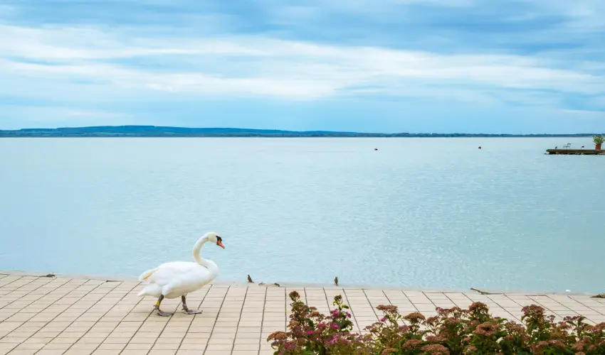 Hotel Ovit Keszthely - Szent Istv�n �nnepe v�rosn�z� dott�z�ssal (min. 3 �j)