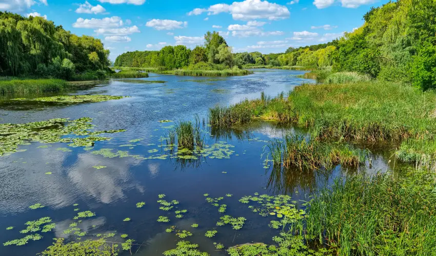 Hotel Ovit Keszthely - Szent Istv�n �nnepe v�rosn�z� dott�z�ssal (min. 3 �j)