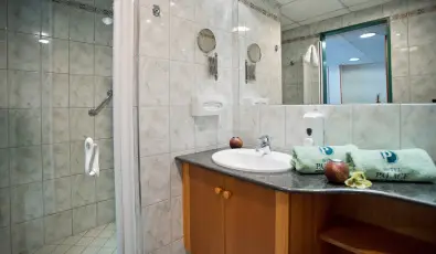 Palace Hotel  H�v�z