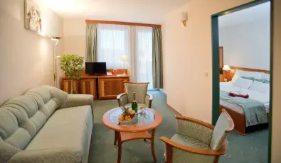 Palace Hotel  H�v�z