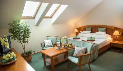 Palace Hotel  H�v�z