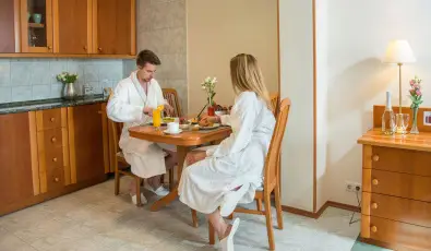 Palace Hotel  H�v�z