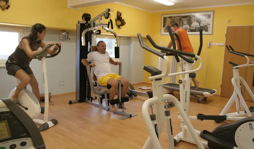 Hotel Panor�ma Balatongy�r�k Balatongy�r�k - Augusztus 20. (min. 2 �j)