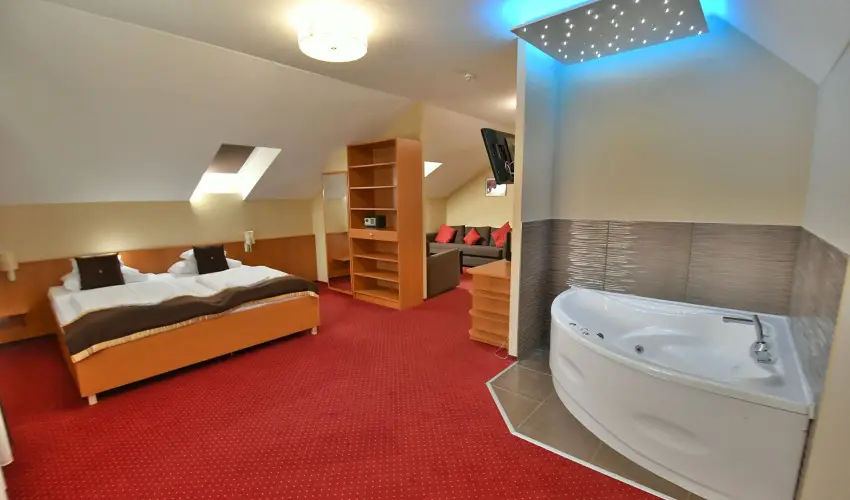 Hotel Plat�n Sz�kesfeh�rv�r Sz�kesfeh�rv�r - Augusztus 20.