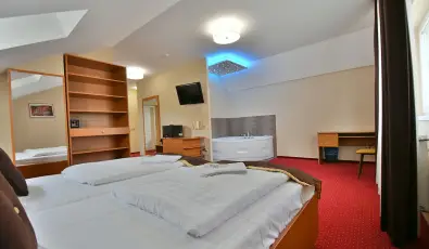 Hotel Plat�n Sz�kesfeh�rv�r Sz�kesfeh�rv�r