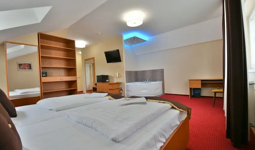 Hotel Plat�n Sz�kesfeh�rv�r Sz�kesfeh�rv�r - Augusztus 20.