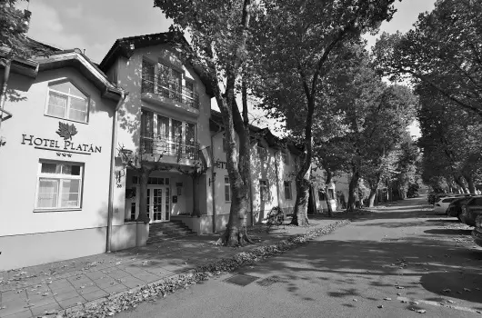 Hotel Plat�n Sz�kesfeh�rv�r - Augusztus 20.