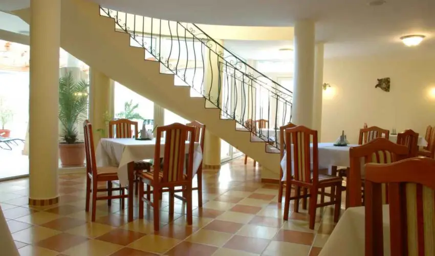 Sante Hvz Hvz - Augusztus 20. (min. 2 j)