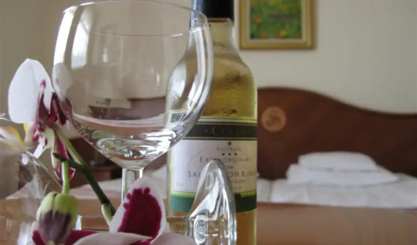 Sante Hvz Hvz - Augusztus 20. (min. 2 j)