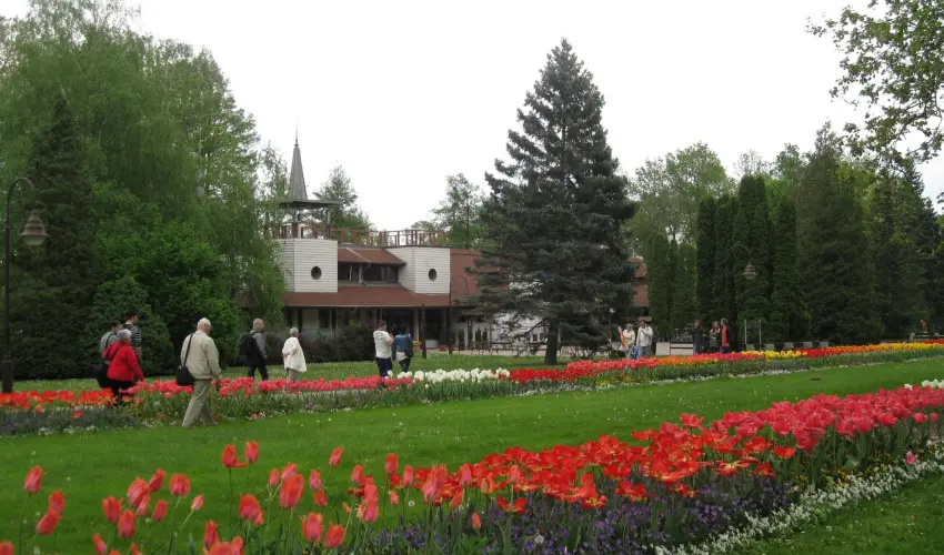 Sante Hvz Hvz - Augusztus 20. (min. 2 j)