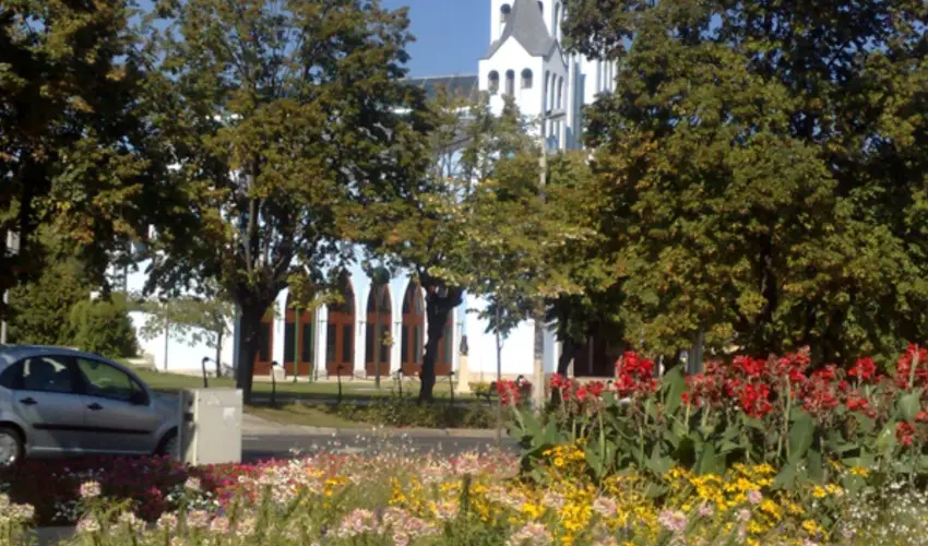 Sante Hvz Hvz - Augusztus 20. (min. 2 j)