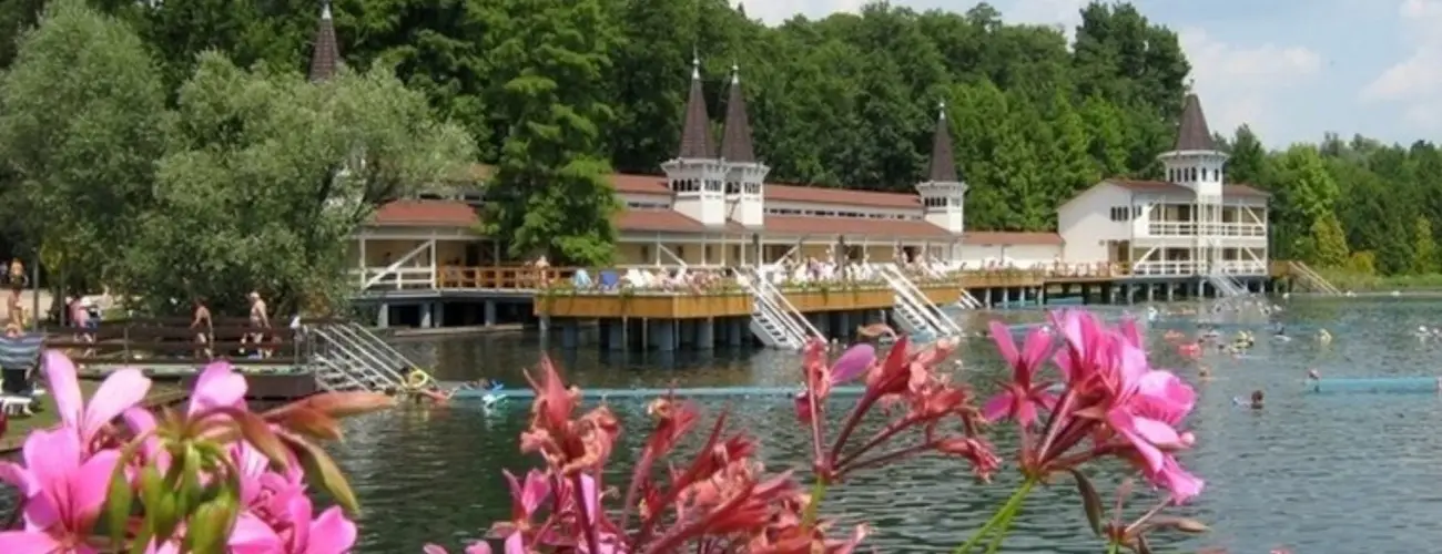 Sante Hvz Hvz - Augusztus 20. (min. 2 j)