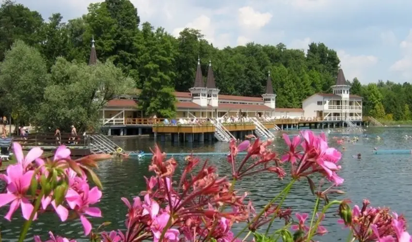 Sante Hvz Hvz - Augusztus 20. (min. 2 j)