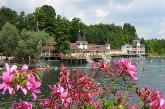 Sante Hvz - Augusztus 20. (min. 2 j)