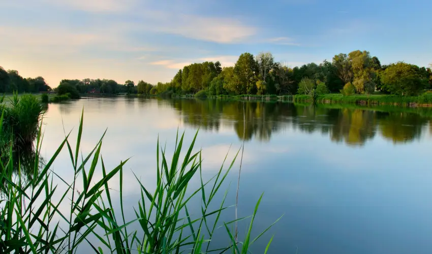 Hotel Solar Nagyat�d - Augusztus 20.