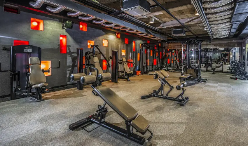 Hotel Stci Wellness & Konferencia Vecss - Augusztus 20.