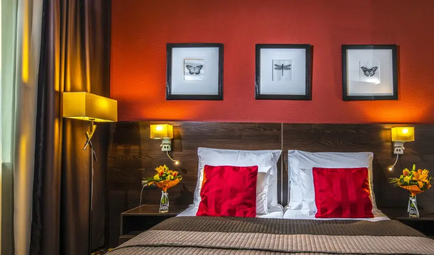 Hotel Stci Wellness & Konferencia Vecss - Augusztus 20.