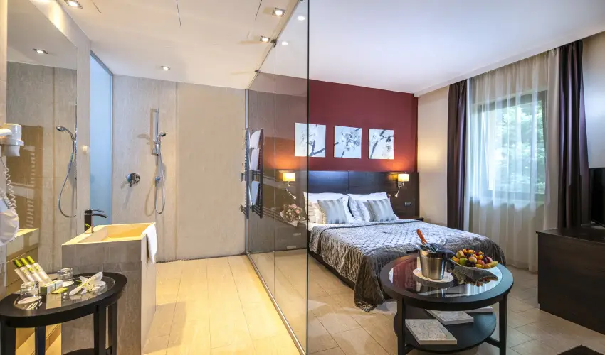 Hotel Stci Wellness & Konferencia Vecss - Augusztus 20.