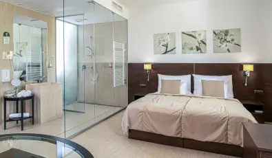 Hotel St�ci� Wellness & Konferencia Vecs�s