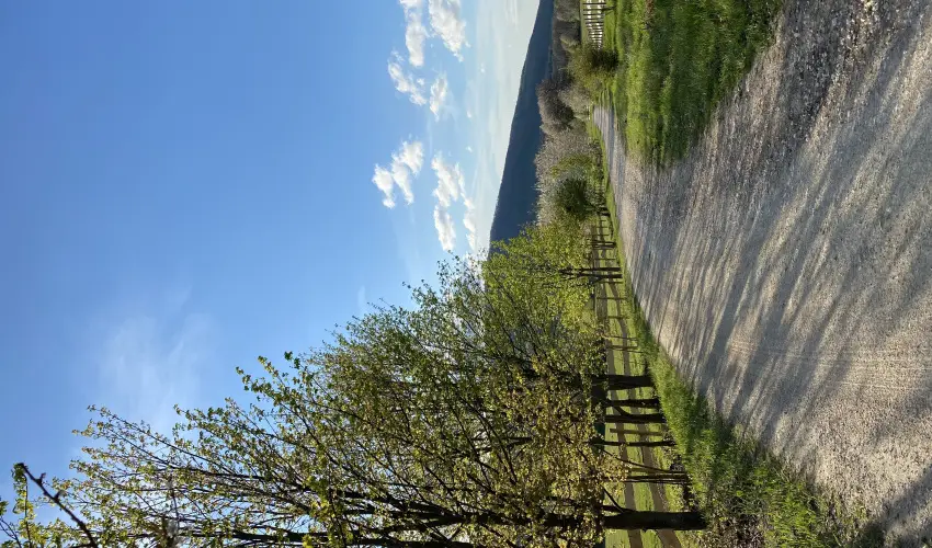 Hotel Sz�palma Porva-Sz�palmapuszta - Augusztus 20.