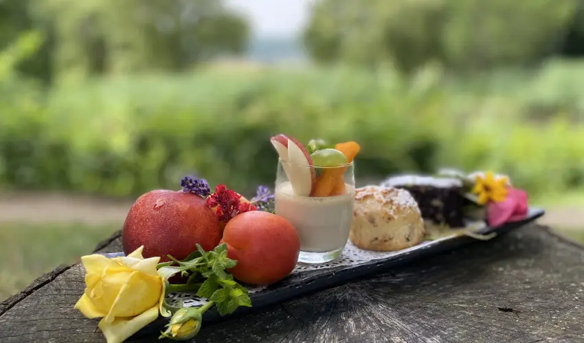 Hotel Sz�palma Porva-Sz�palmapuszta - Augusztus 20.