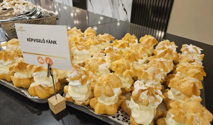 Hotel Szieszta Sopron - Augusztus 20.