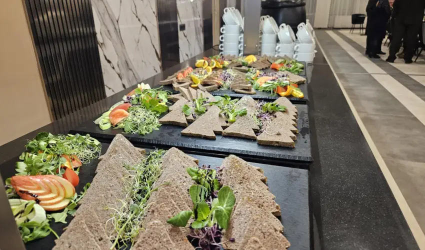 Hotel Szieszta Sopron - Augusztus 20.