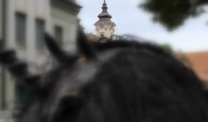 Hotel Unicornis Eger - Augusztus 20.