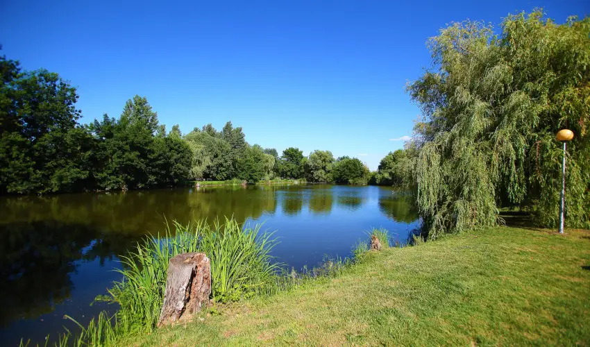 Terml Hotel Vesta Tpiszecs - Augusztus 20. (min. 2 j)