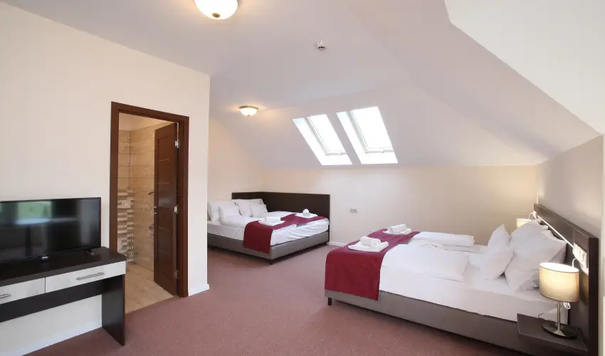 Terml Hotel Vesta Tpiszecs - Augusztus 20. (min. 2 j)