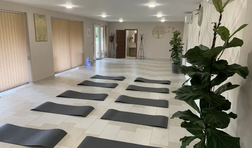Term�l Hotel Vesta T�pi�szecs� - Augusztus 20. (min. 2 �j)