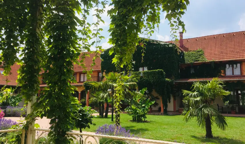 Hotel Vinum Wellness �s Konferencia Hotel Kisk�r�s - Augusztus 20.