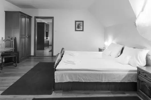 Hotel Vinum Wellness �s Konferencia Hotel - Augusztus 20.