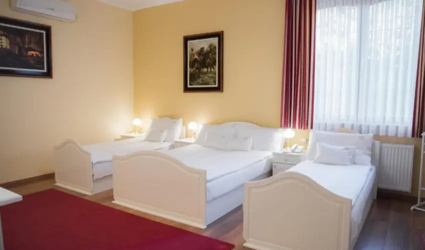 Hotel Vinum Wellness �s Konferencia Hotel Kisk�r�s - Augusztus 20.