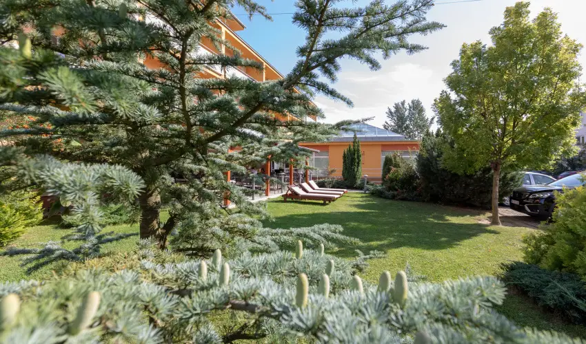 Hotel Vital Zalakaros - Augusztus 20.