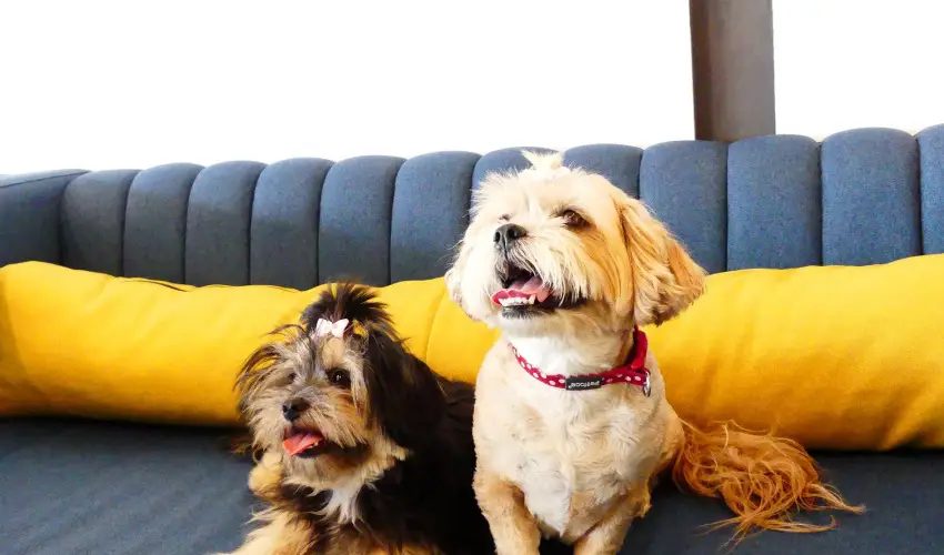 Hotel Yacht Wellness & Business Si�fok - Augusztus 20. (min. 3 �j)