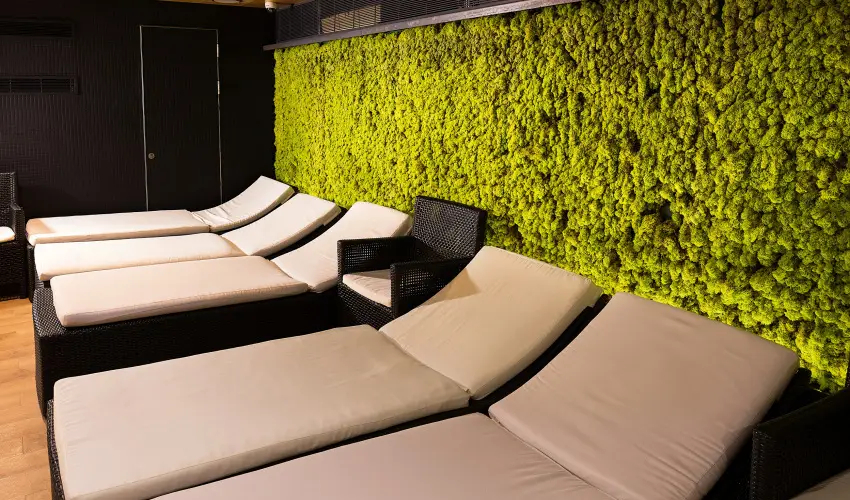 Hotel Zena Hvz - Augusztus 20. (min. 3 j)