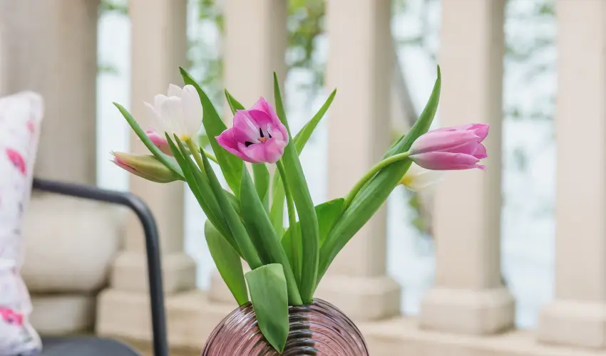 Hotel Anna Villa Balatonfldvr - Augusztus 20. (min. 2 j)