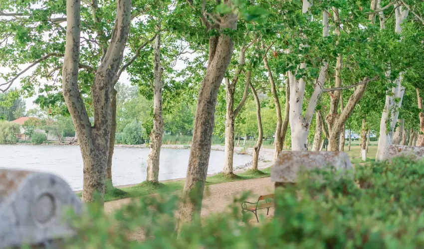 Hotel Anna Villa Balatonfldvr - Augusztus 20. (min. 2 j)