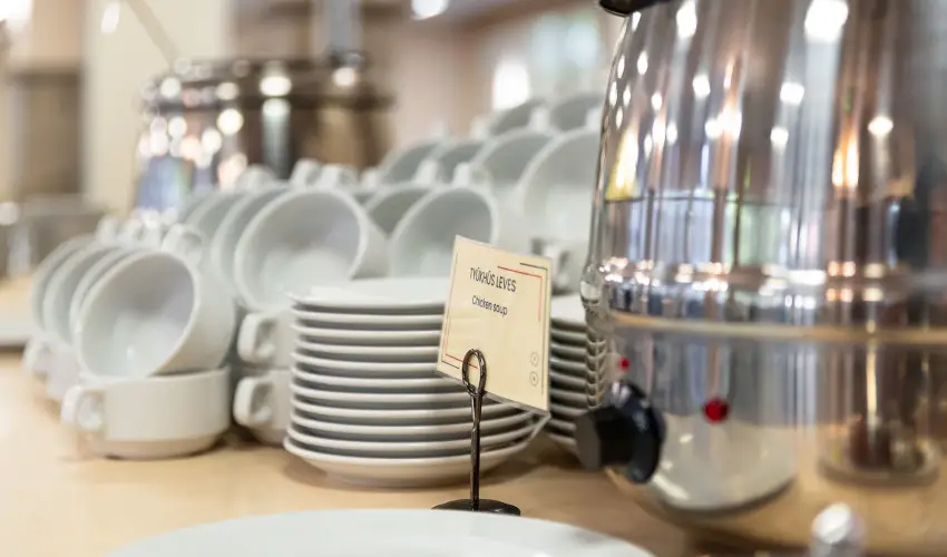 Hungarospa Thermal Hotel Hajdszoboszl - Augusztus 20.