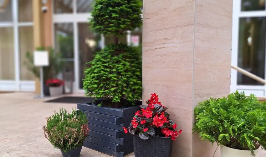 Hungarospa Thermal Hotel Hajdszoboszl - Augusztus 20.