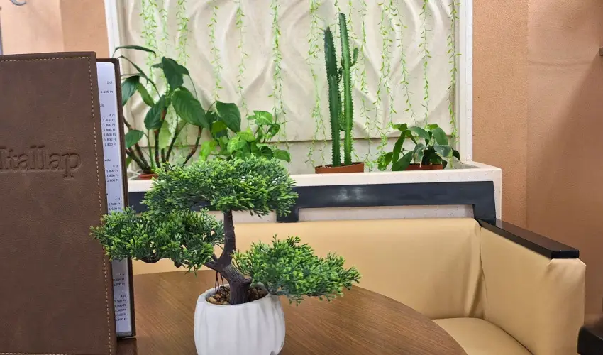 Hungarospa Thermal Hotel Hajdszoboszl - Augusztus 20.